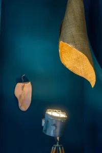 aia estudio alice tepedino - Mostra Fernando Jaeger