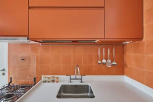 aia estudio alice tepedino - Apartamento Acácias