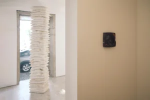 aia estudio alice tepedino - Expografia Preferi Dormir  .  Raphael Tepedino