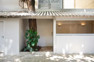 aia estudio alice tepedino - Casa Pano