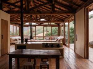 aia estudio alice tepedino - Casa Japú