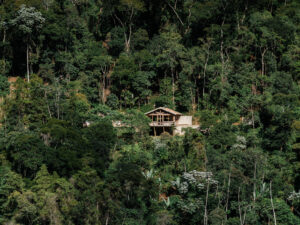 aia estudio alice tepedino - Casa Japú