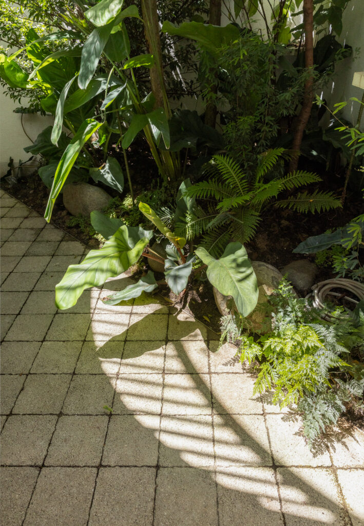 aia estudio alice tepedino - Casa João Moura
